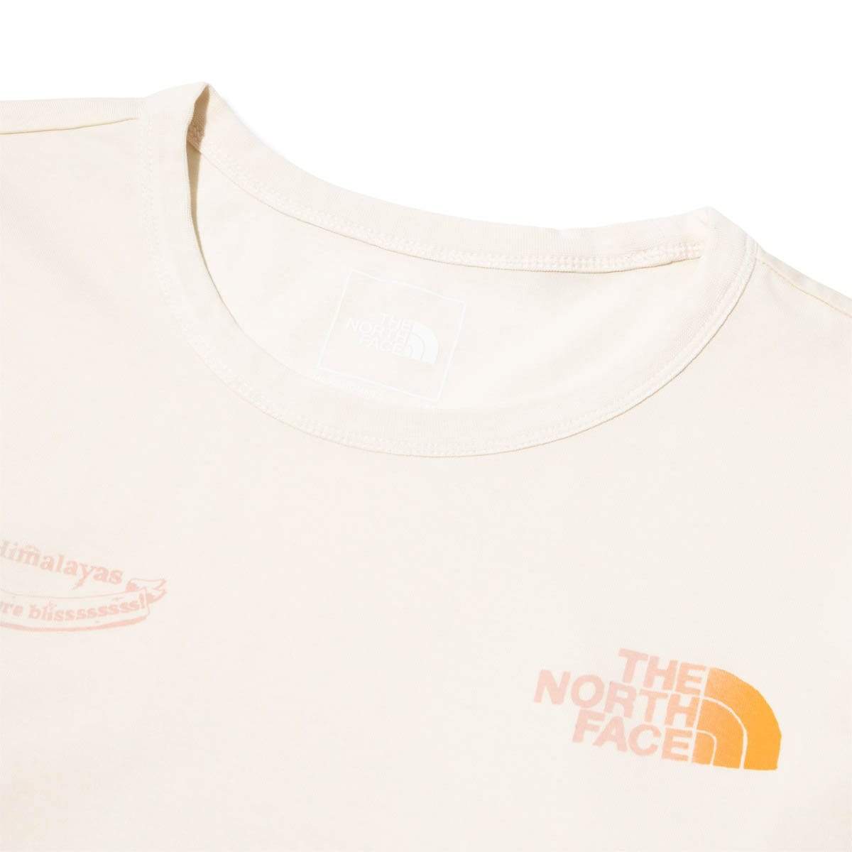 The North Face T-Shirts L/S HIM BOTTLE TEE
