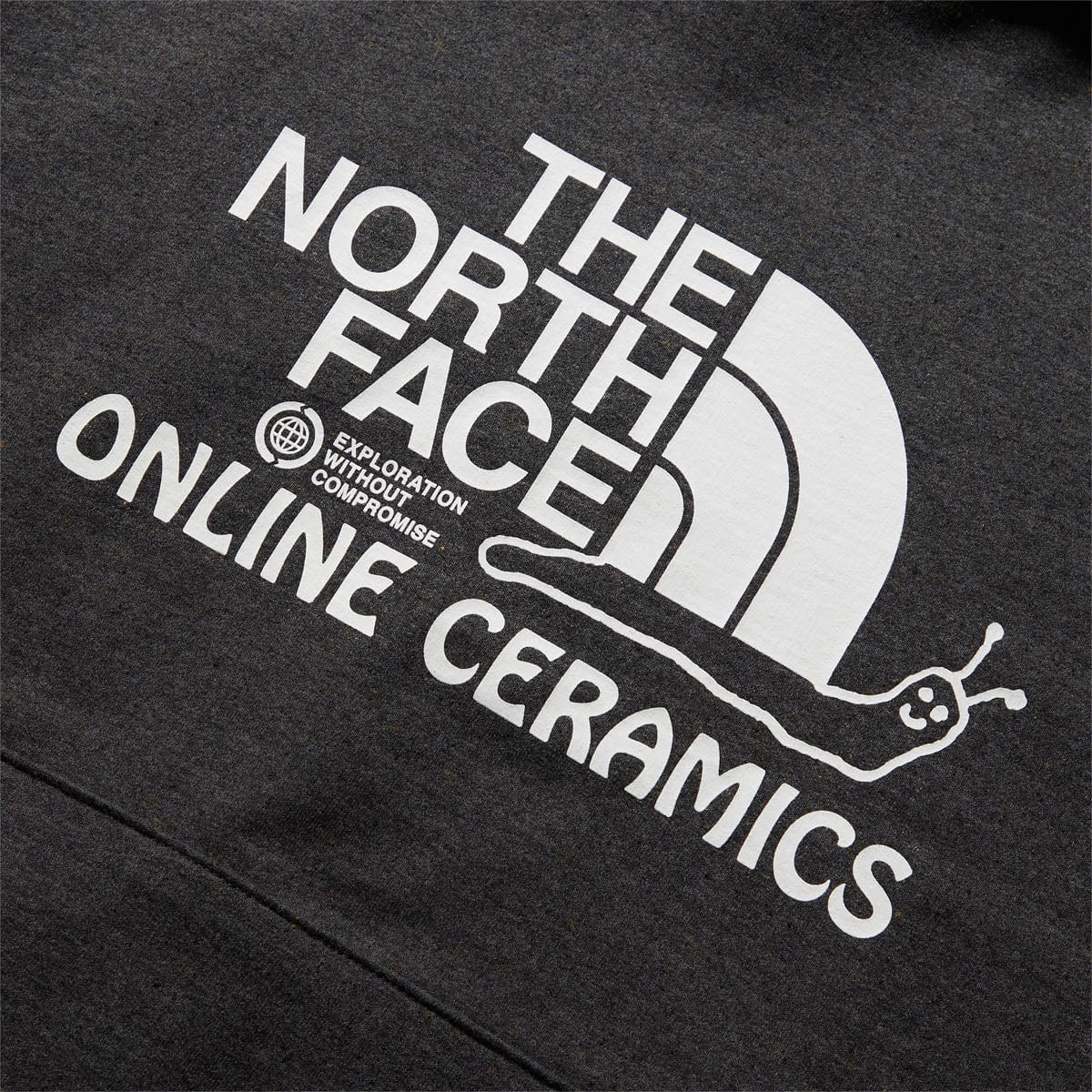 The North Face Hoodies & Sweatshirts X ONLINE CERAMICS GRAPHIC HOODIE