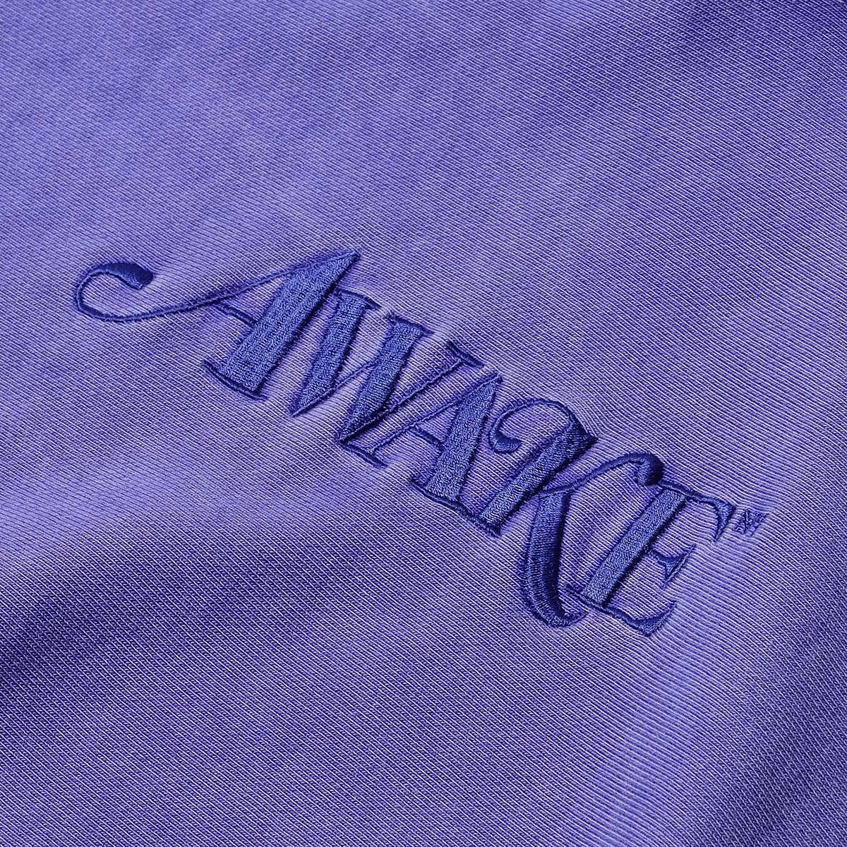 Awake NY Hoodies & Sweatshirts CLASSIC LOGO EMBROIDERED HOODIE