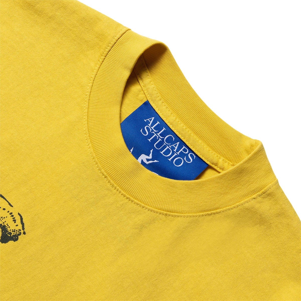 ALLCAPSTUDIO T-Shirts MUSHROOM FROG LONG SLEEVE T-SHIRT