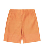 Load image into Gallery viewer, Homme Plissé Issey Miyake Bottoms COLORFUL MESH SHORTS
