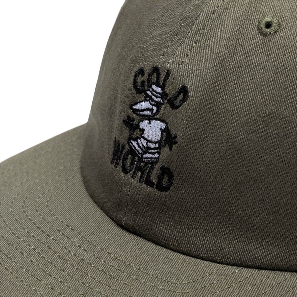 Cold World Frozen Goods Headwear OLIVE / O/S LOST CROW HAT