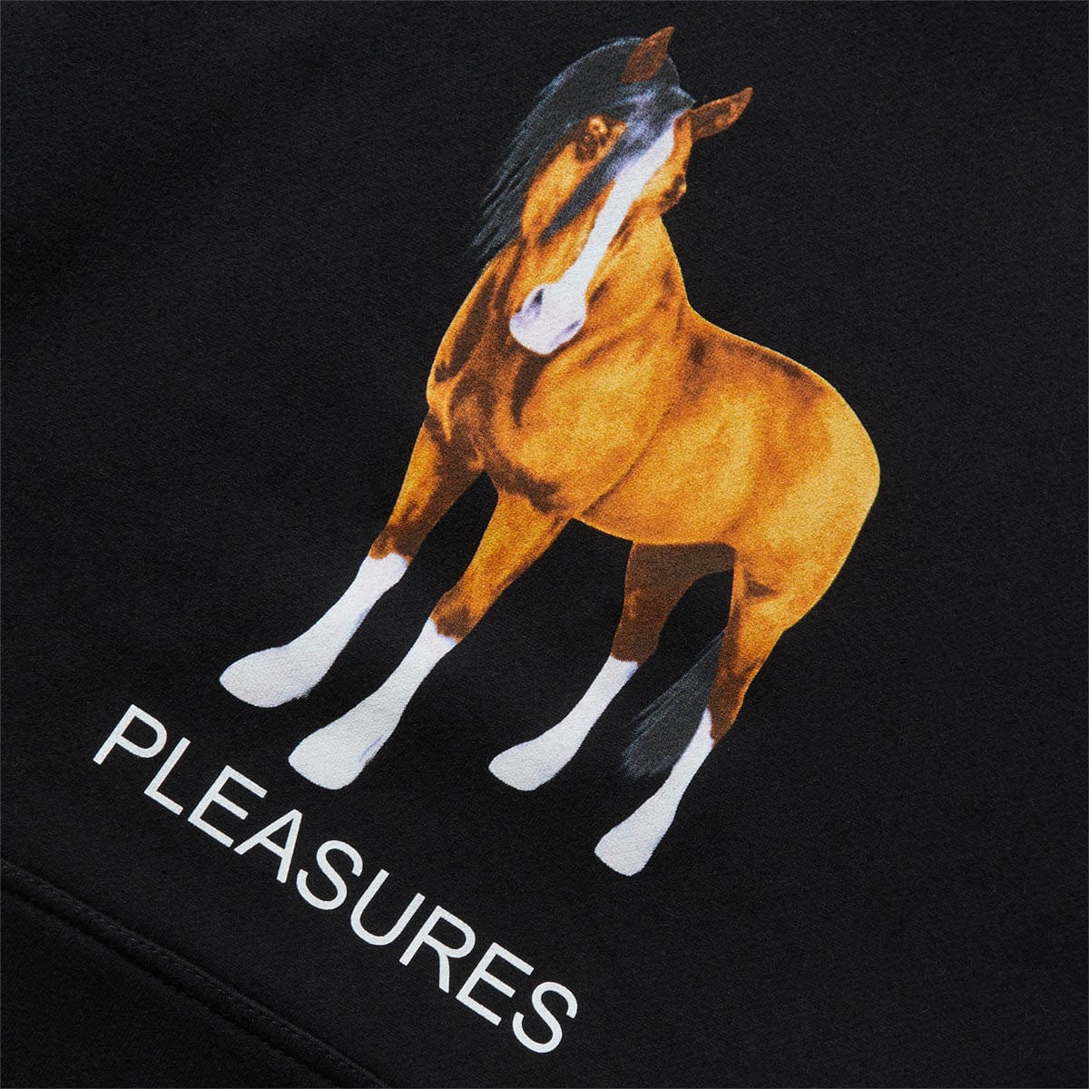 Pleasures Hoodies & Sweatshirts DEATH HOODIE