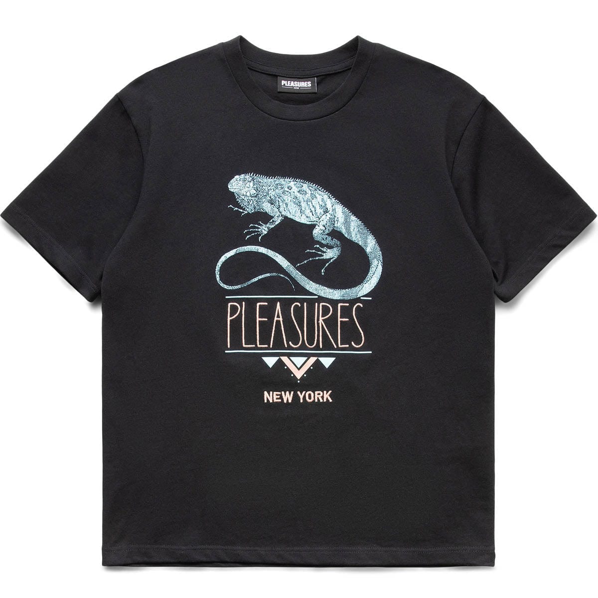 Pleasures T-Shirts FEAR HEAVYWEIGHT T-SHIRT