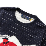 Polo Ralph Lauren Knitwear JACQUARD STITCHED SKI MOTIF CREWNECK SWEATER