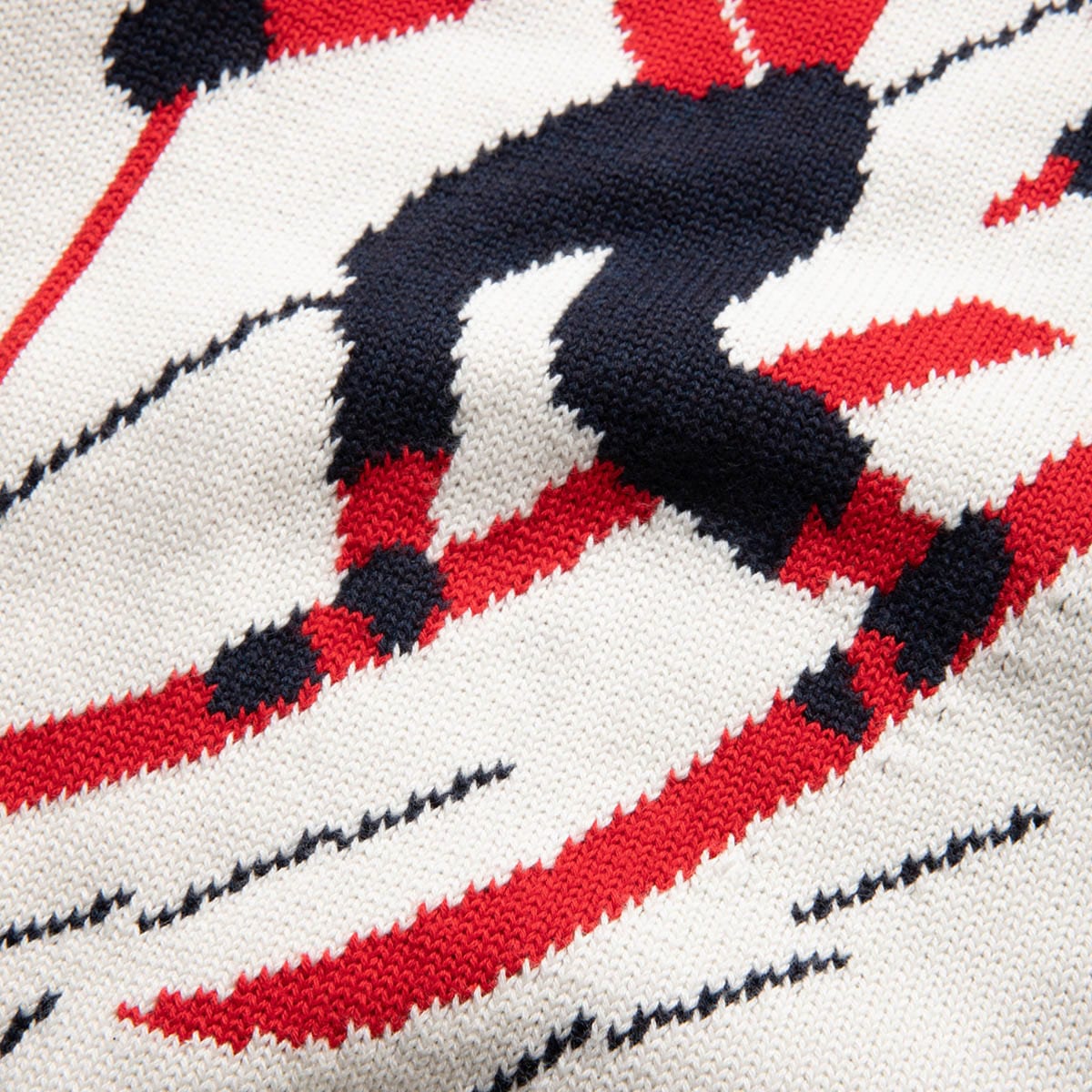 Polo Ralph Lauren Knitwear JACQUARD STITCHED SKI MOTIF CREWNECK SWEATER