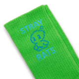 Stray Rats Socks LIME GREEN / O/S CHAO SOCKS