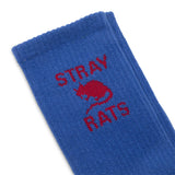 Stray Rats Socks ROYAL / O/S RAT SOCKS