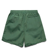 Stüssy Shorts CURLY S WATER SHORT