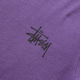 Stüssy T-Shirts SKULL WINGS PIG. DYED TEE