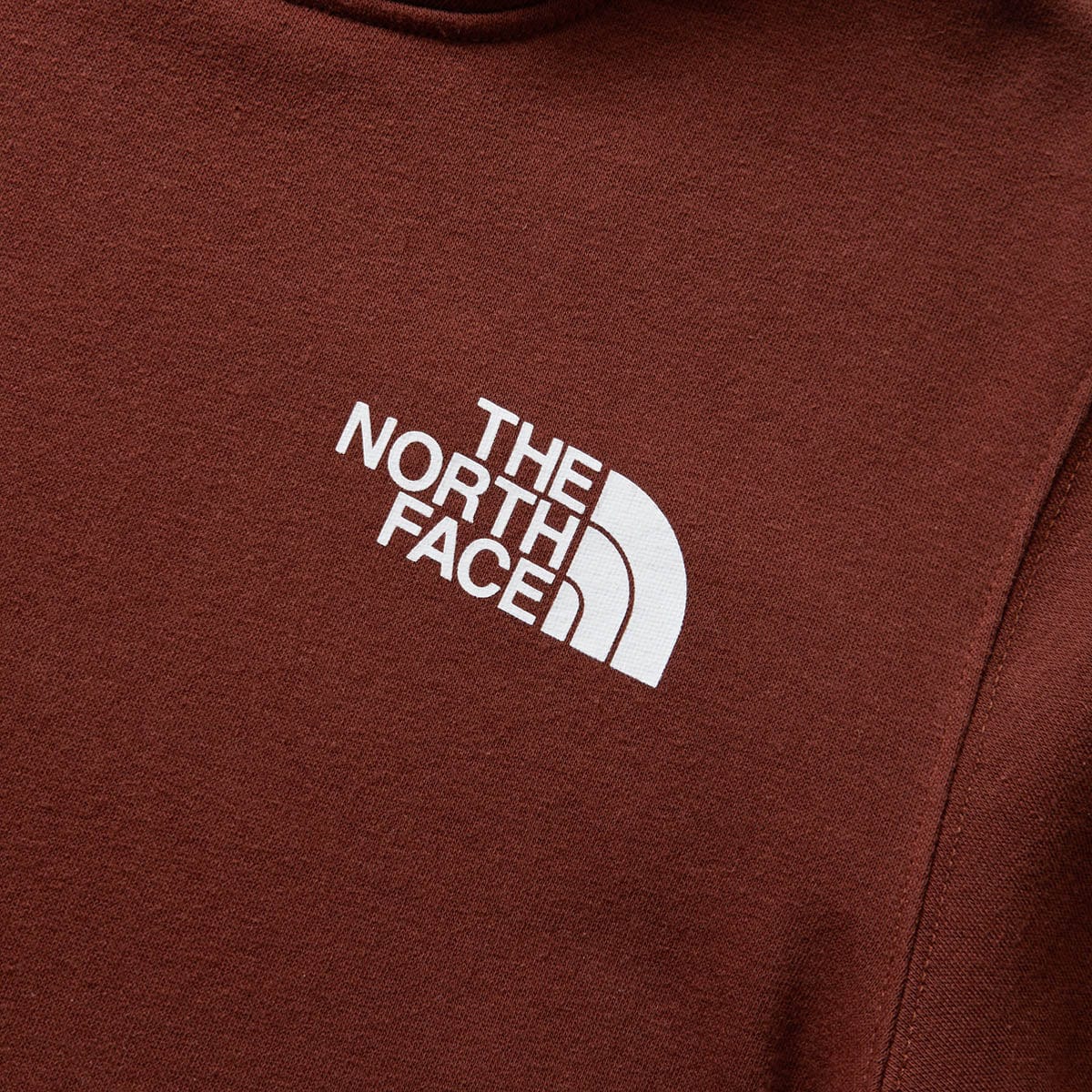 The North Face Hoodies & Sweatshirts BOX NSE PULLOVER HOODIE