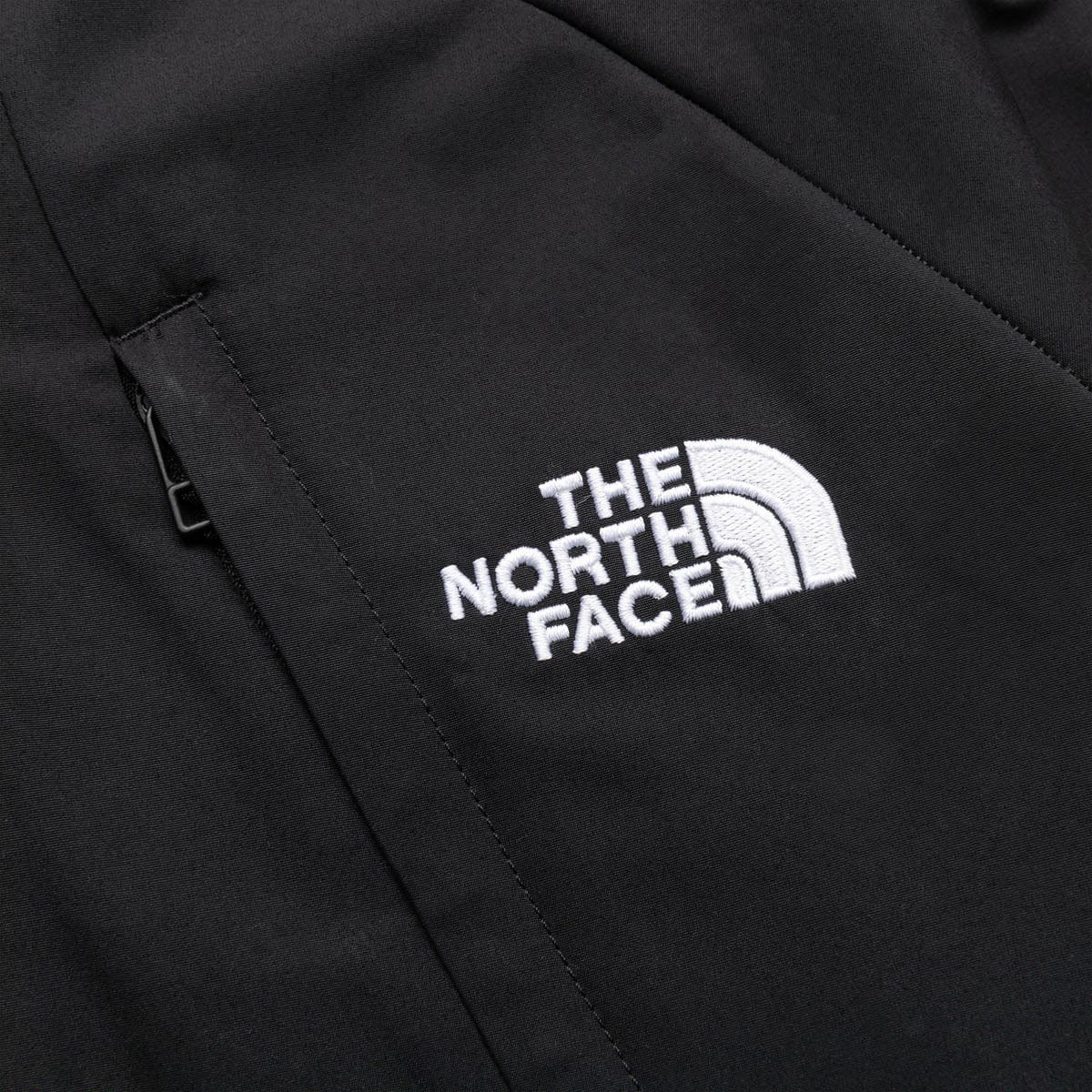 The North Face Outerwear PHLEGO DENALI JACKET