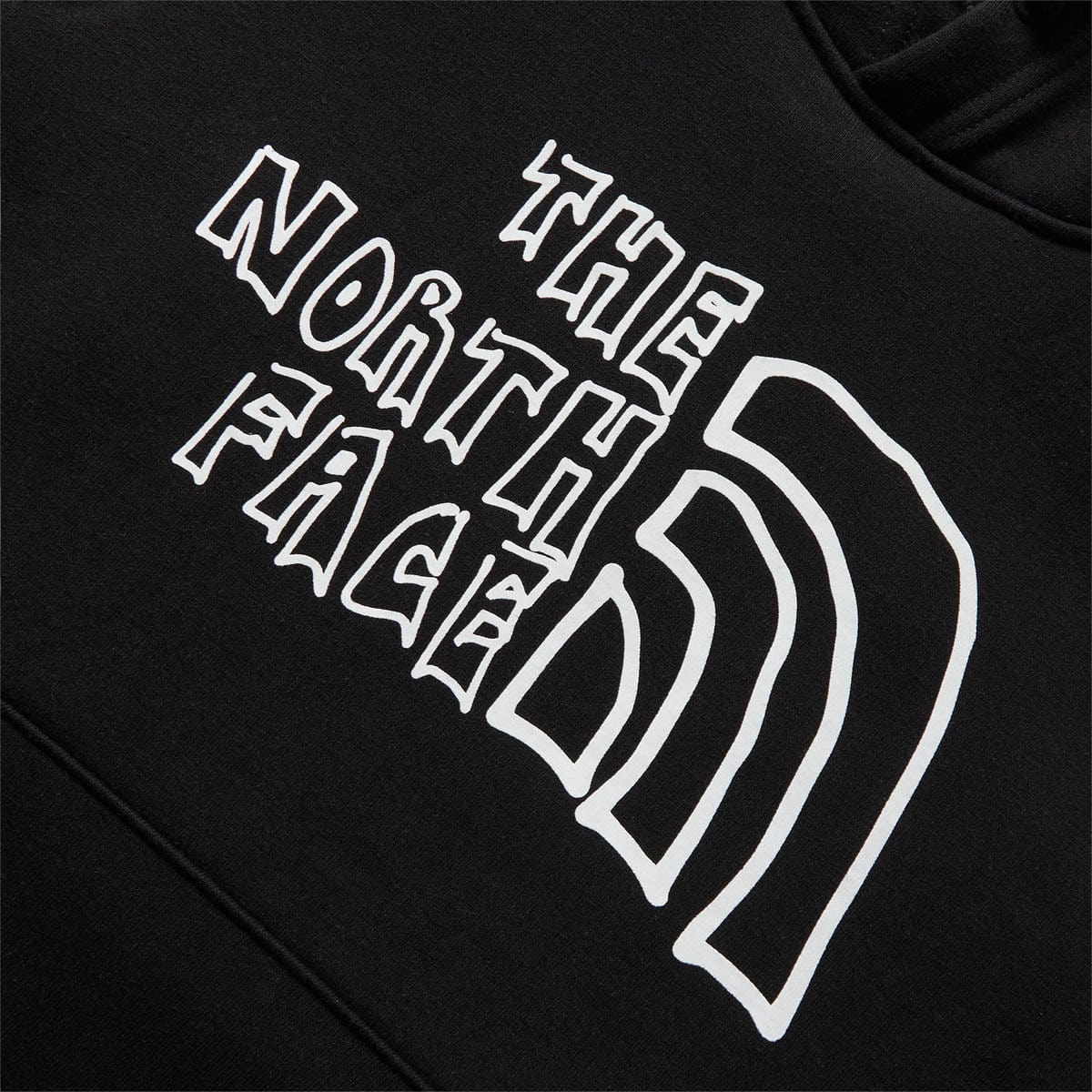 The North Face Hoodies & Sweatshirts PRINT HEAVYWEIGHT PULLOVER HOODIE