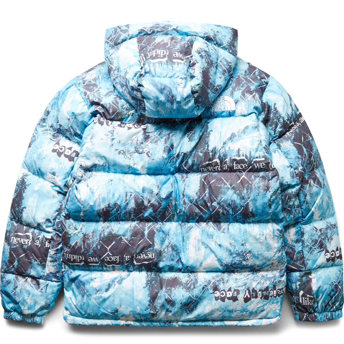 The North Face Outerwear PRINTED HMLYN DOWN PARKA
