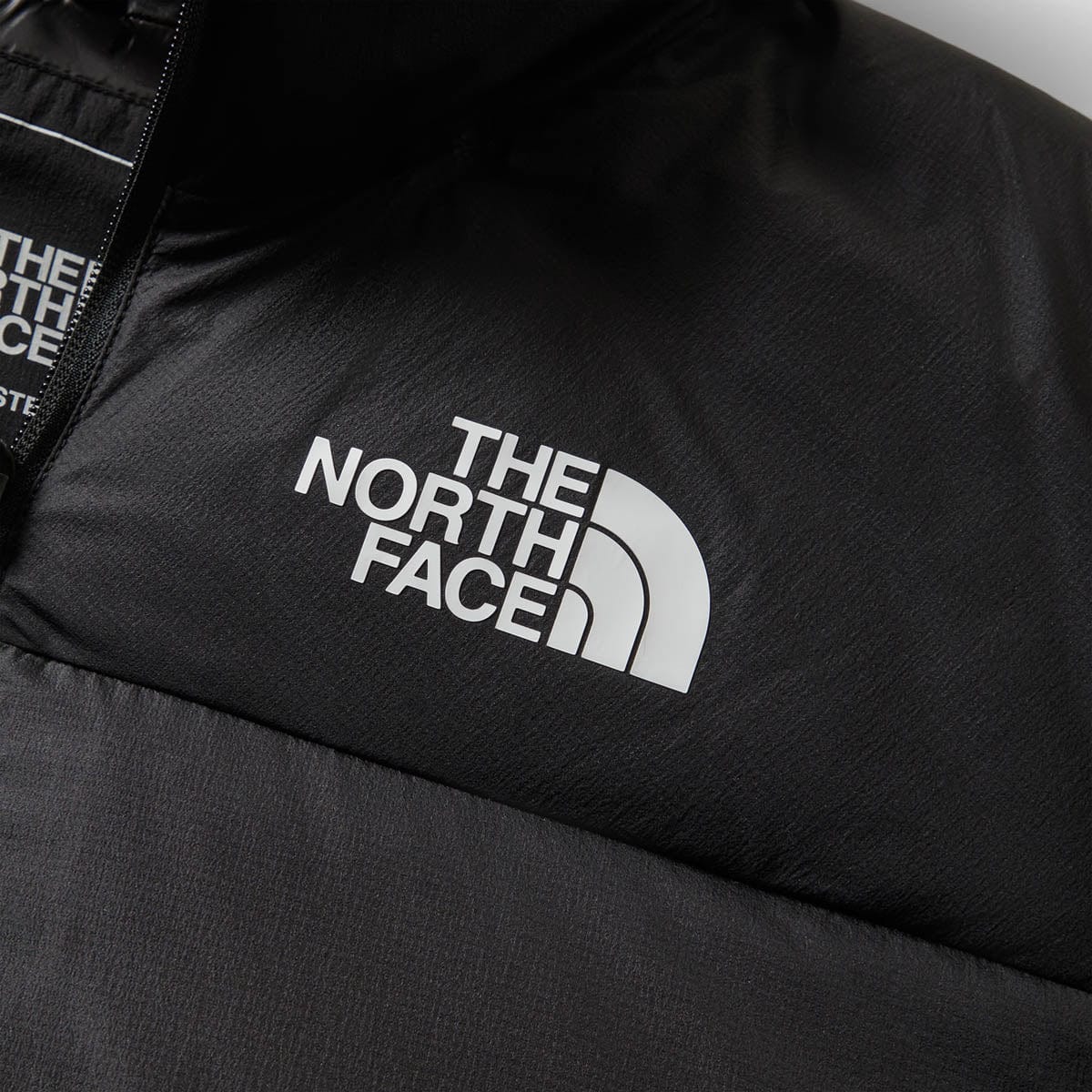 The North Face Outerwear REMASTERED NUPTSE JACKET